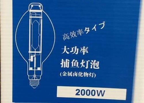 Birnen-Fisch-Lampe VERSTECKTE Metallhalogenid-Kalmar-Fischen-Lampe BT220 2000w MH