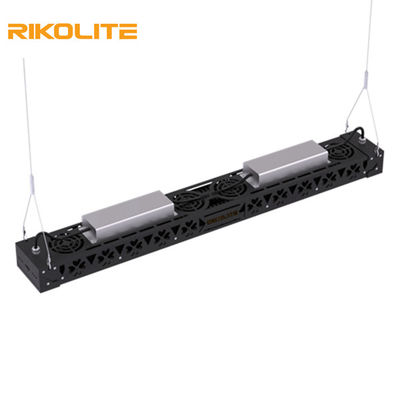 Volles Spektrum SMD3030 IP65 300w wachsen Lichter, 1450umol/s führte Lichtstrahl-Befestigung