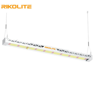 Volles Spektrum SMD3030 IP65 300w wachsen Lichter, 1450umol/s führte Lichtstrahl-Befestigung