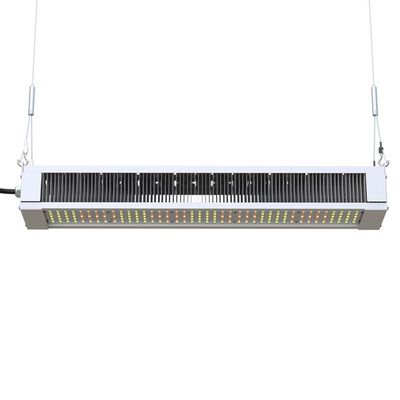 RikoLite 240W, das volles Spektrum LED helle dünne Stange, AL1100 Gartenbau LED wachsen, wachsen Lichter
