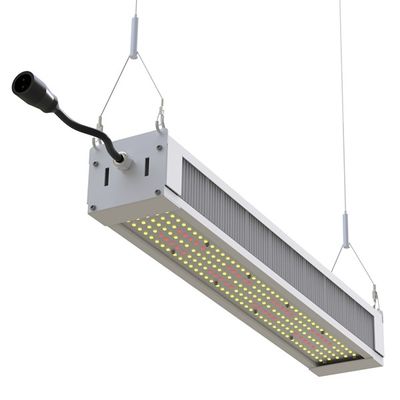 RikoLite 240W, das volles Spektrum LED helle dünne Stange, AL1100 Gartenbau LED wachsen, wachsen Lichter