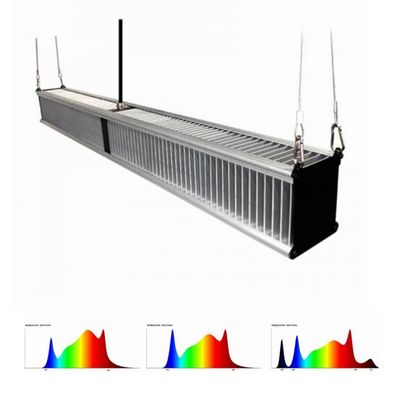 Treibhauspflanze 800w 2.7μMol/J wachsen Lichter, Gartenbau-, denkreuzung dünne Stange 1000w führte