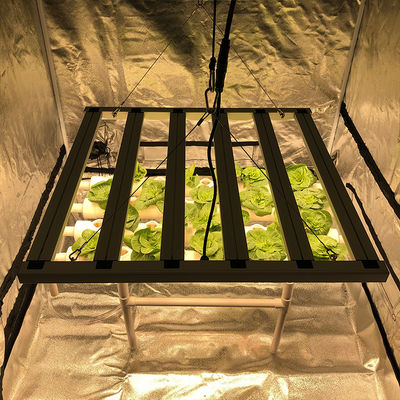 Geführte Gartenbau 35 wachsen der Celsius Licht-Stange der Licht-480W 6 der Säulen-2.6μMol/J