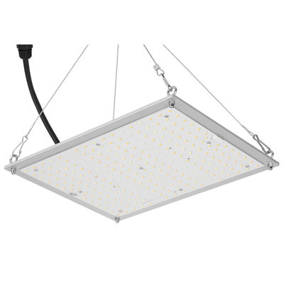 Hydroponik RikoLite 100W 277vac geführt, Licht-Quantums-Brett 167.3umol/S zu wachsen