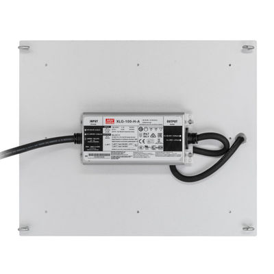 Hydroponik RikoLite 100W 277vac geführt, Licht-Quantums-Brett 167.3umol/S zu wachsen