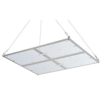 Hohe Leistung Rikolite 400w, die geführt wird, Lichter, Wasserkulturanlage 149.6m/W zu wachsen, wachsen hell