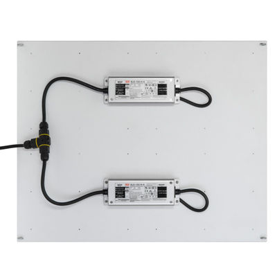 Hohe Leistung Rikolite 400w, die geführt wird, Lichter, Wasserkulturanlage 149.6m/W zu wachsen, wachsen hell