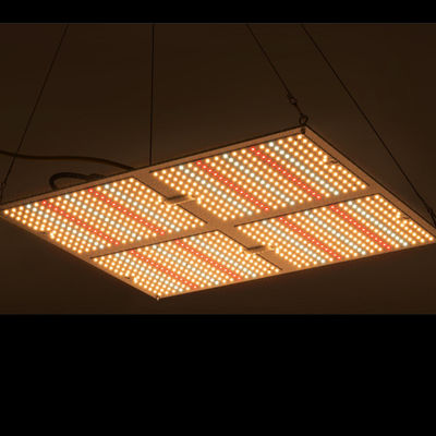 Hohe Leistung Rikolite 400w, die geführt wird, Lichter, Wasserkulturanlage 149.6m/W zu wachsen, wachsen hell