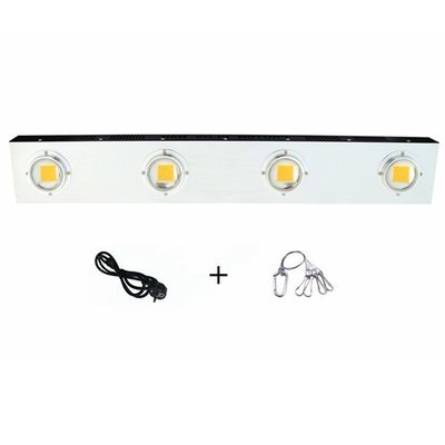 Anlage RikoLite 0.2KW geführt, Innenhanf-UVultraviolettes der Licht-200w zu wachsen