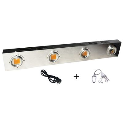 Anlage RikoLite 0.2KW geführt, Innenhanf-UVultraviolettes der Licht-200w zu wachsen