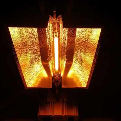 doppelseitige 1000W HPS wachsen beleuchtet beleuchtende Fernsteuerungslösung 2100umol/s