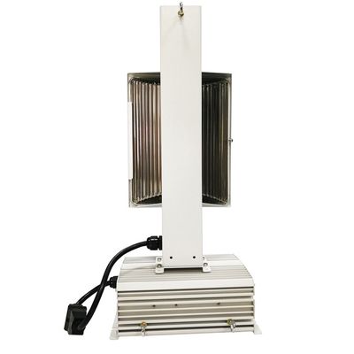 Befestigung 220HZ DE Cmh 1000w, De IP68 Cmh wachsen Lichter