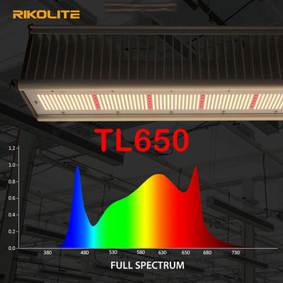 TL650 GLEICHHEIT 1755umol/S Gewächshaus geführt, Lichter 630W für Veg/Blume zu wachsen