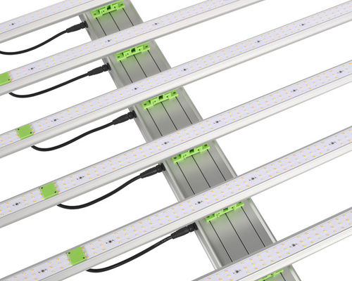 600W 1560μ Mol Plant LED wachsen Lichter 6 Stangen EPAR 380nm-760nm