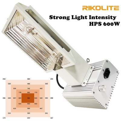 Hohe Intensitäts-leiser Zug Pro-600W HPS wachsen für Gewächshaus hell