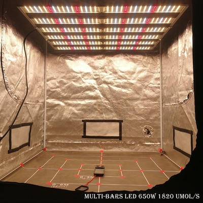 Stangen-Gewächshaus LED RikoLite 650W 1820umol/S 6 wachsen Lichter