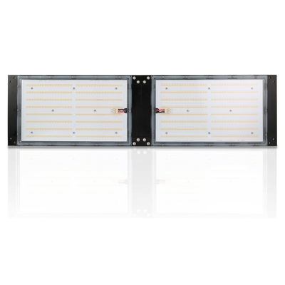 Wasserdichtes Brett IP65 LED Herb Grow Light 240W SAMSUNG Quantum für landwirtschaftliches
