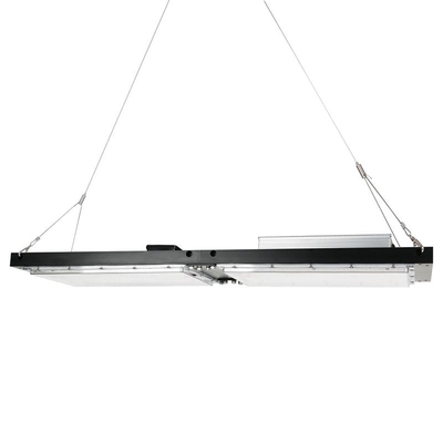 Wasserdichtes Brett IP65 LED Herb Grow Light 240W SAMSUNG Quantum für landwirtschaftliches