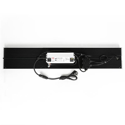 Hydroponik Quantum LED wachsen volles Spektrum der Licht-IP65 320w für Gemüse