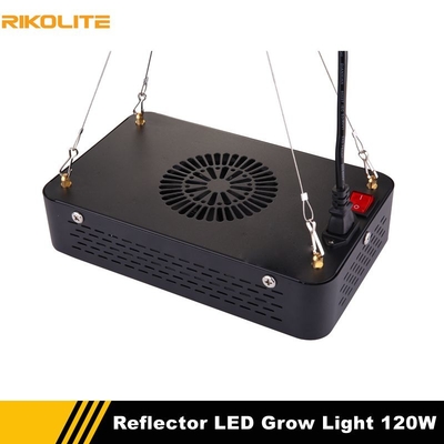 Zimmerpflanze 120w 510umol wachsen Lichter, das volle hydro Spektrum wachsen Lichter