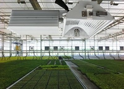1050µMol/S VERSTECKTE LED wachsen Lichter, 630W erntet Cermet-Halogenid wachsen hell