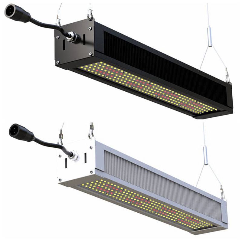 RikoLite 240W, das volles Spektrum LED helle dünne Stange, AL1100 Gartenbau LED wachsen, wachsen Lichter