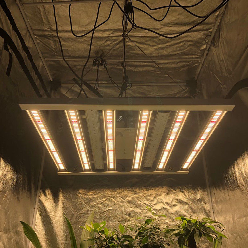 Geführte Gartenbau 35 wachsen der Celsius Licht-Stange der Licht-480W 6 der Säulen-2.6μMol/J